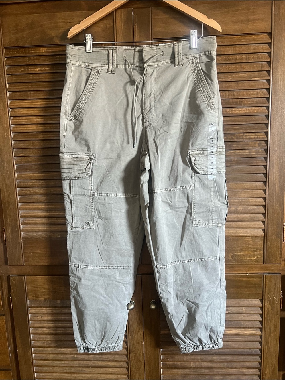 American Eagle Outfitters Light Gray Green Cargo Jogger Pants